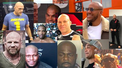 Инфографика UFC Bald Fighters