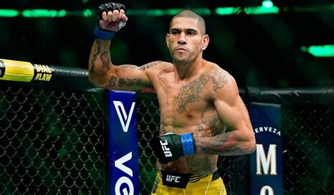 Alex Pereira UFC