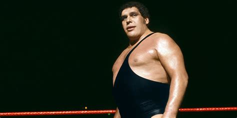 Andre The Giant