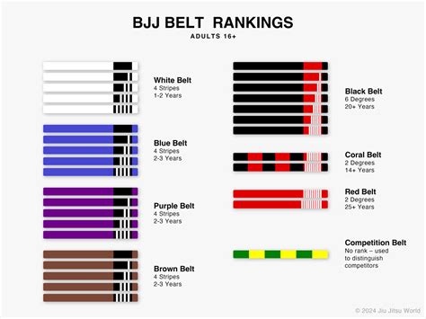 BJJ Belts Ranking System