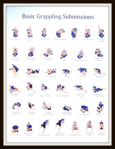 BJJ Positions