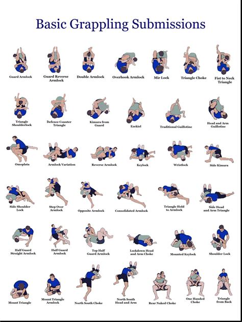 BJJ Techniques