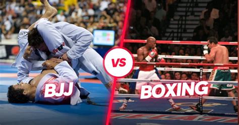 BJJ vs Boxing