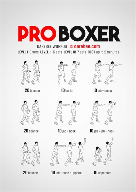 Boxer training