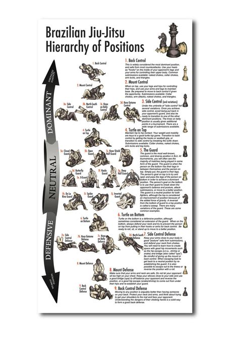 Brazilian Jiu-Jitsu Positions