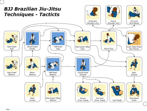Brazilian Jiu-Jitsu Techniques