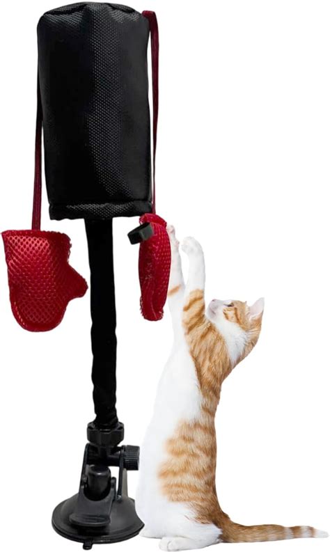 Cat Playing with Punching Bag Toy