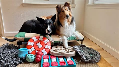 Dog Enrichment Activities