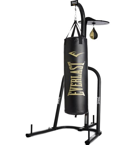 Everlast Punching Bag and Speed Bag