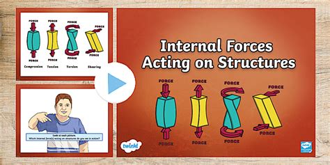 Forces Acting on the Head