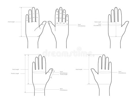 Hand Measurement