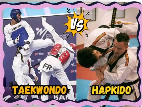 Hapkido vs Taekwondo