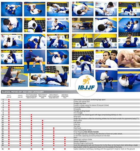 IBJJF Rules