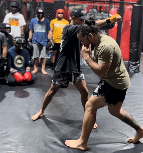 Independent MMA & Fitness Gym