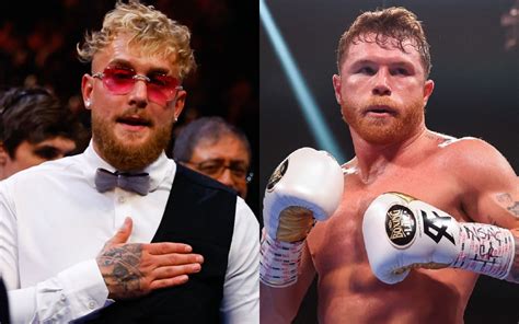Jake Paul's Callout of Canelo Alvarez