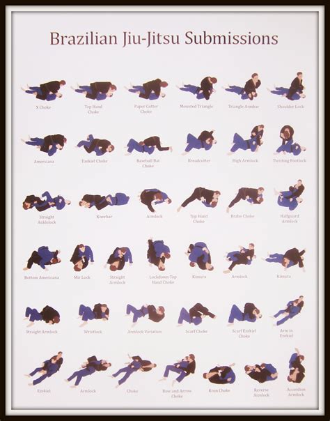 Jiu Jitsu Positions