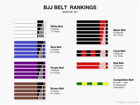 Jiu Jitsu belt levels