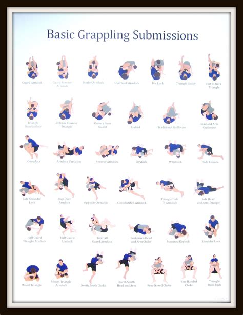 Jiu-Jitsu Techniques