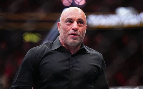 Joe Rogan UFC Commentary