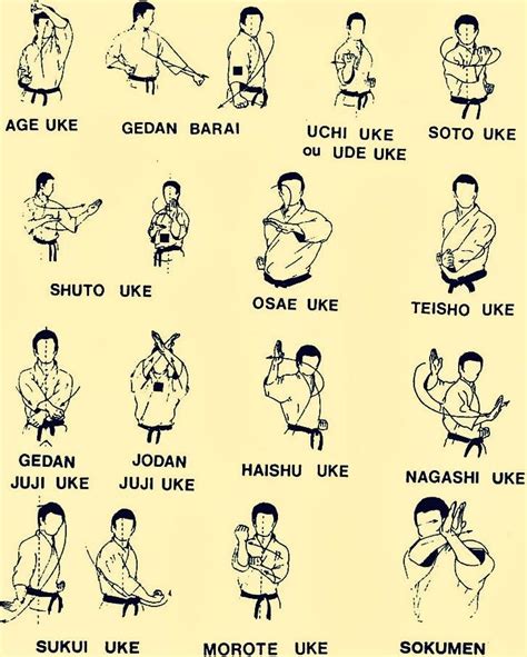 Karate Techniques