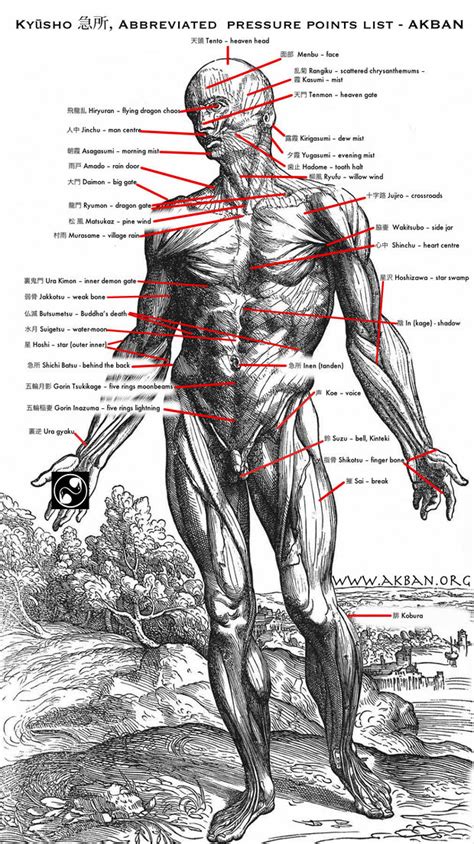 Kyusho Jitsu Pressure Points