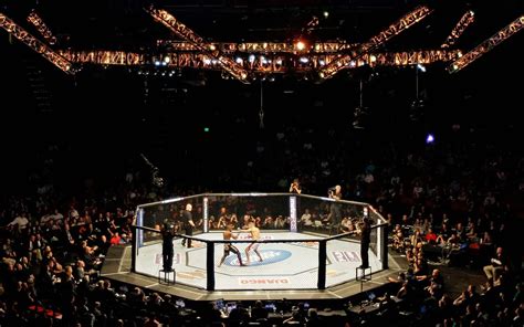 MMA Cage