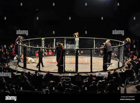 MMA Cage Fight