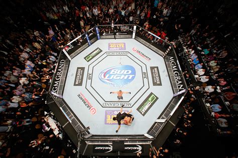 MMA Octagon