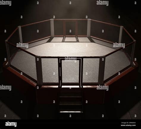 MMA Ring