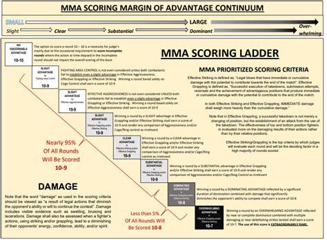 MMA Scoring Criteria