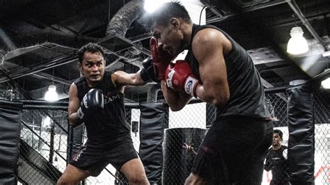 MMA Sparring