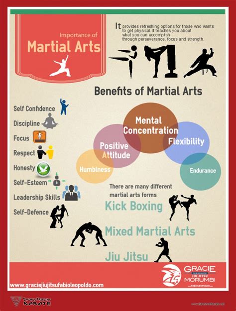 Martial Arts Benefits Infographic
