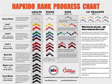 Martial Arts Ranking System