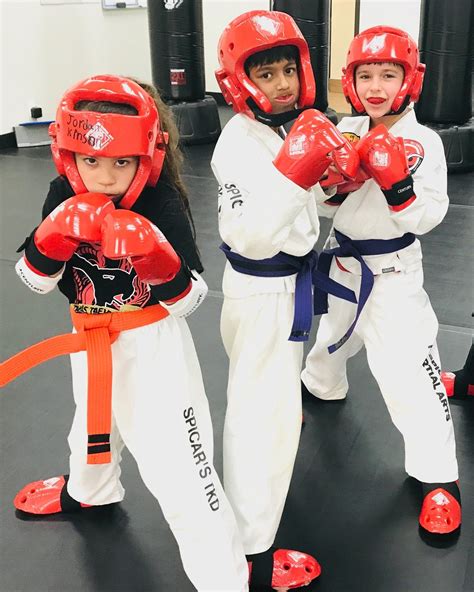 Martial Arts Sparring
