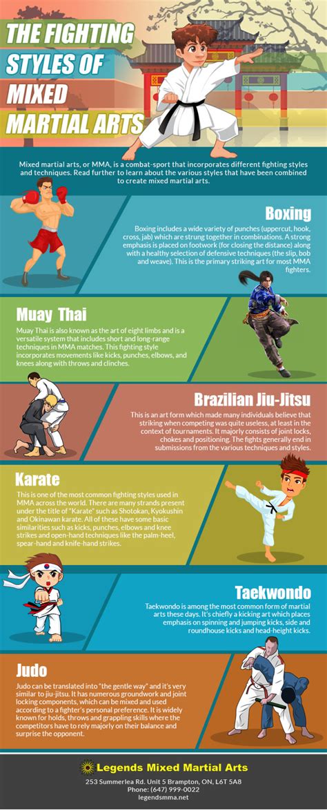 Martial Arts Styles Infographic