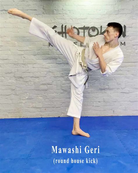 Mawashi Geri