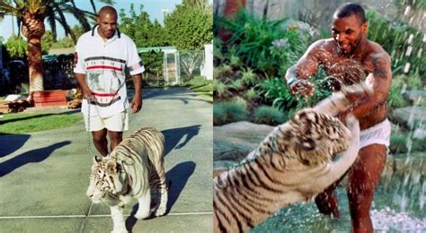 Mike Tyson with a tiger