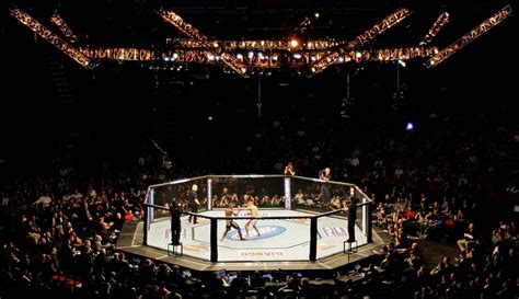 Mixed Martial Arts Octagon