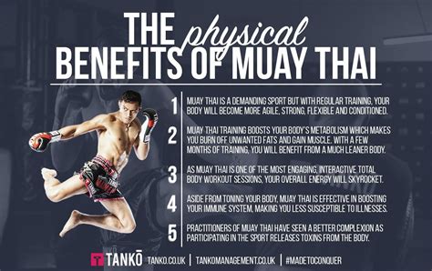 Muay Thai Infographic