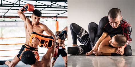 Muay Thai vs BJJ
