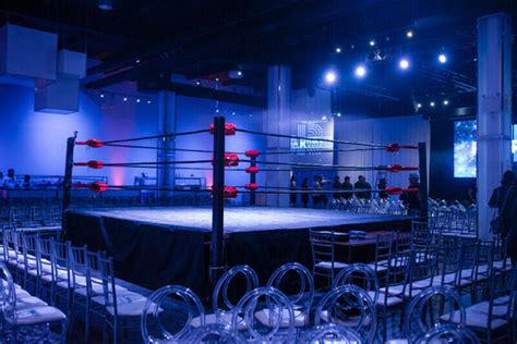 Professional Wrestling Ring