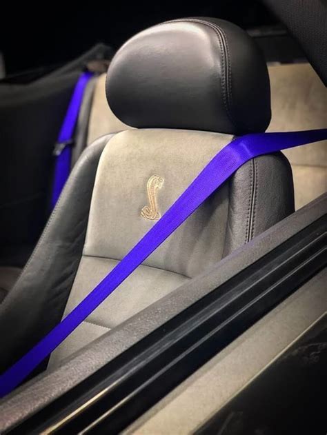 Purple Seat Belt