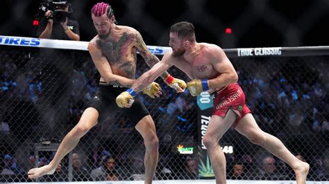 Sean O'Malley vs. Merab Dvalishvili
