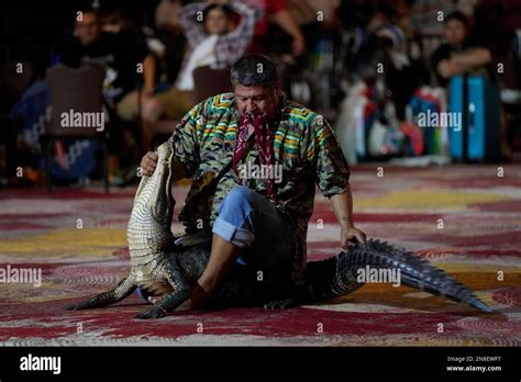 Seminole Alligator Wrestler