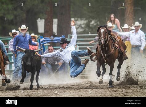 Steer Wrestling Rodeo Event