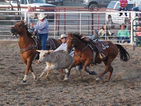 Steer Wrestling Team
