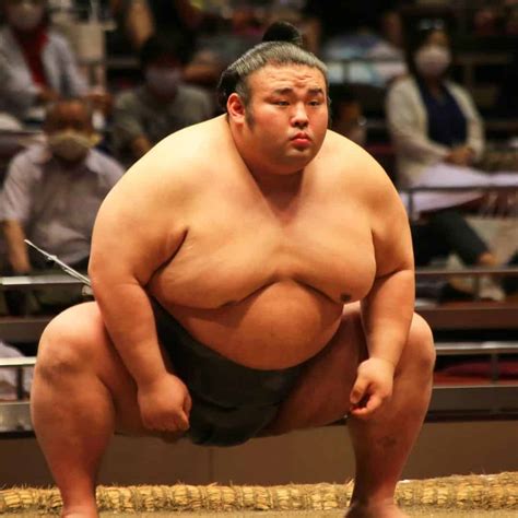 Sumo Wrestlers