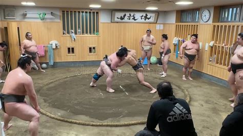 Sumo Wrestlers Training