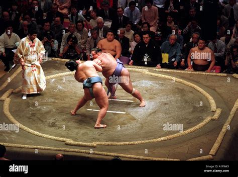 Sumo wrestling ring
