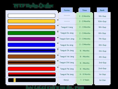 Taekwondo Belts Levels Meaning